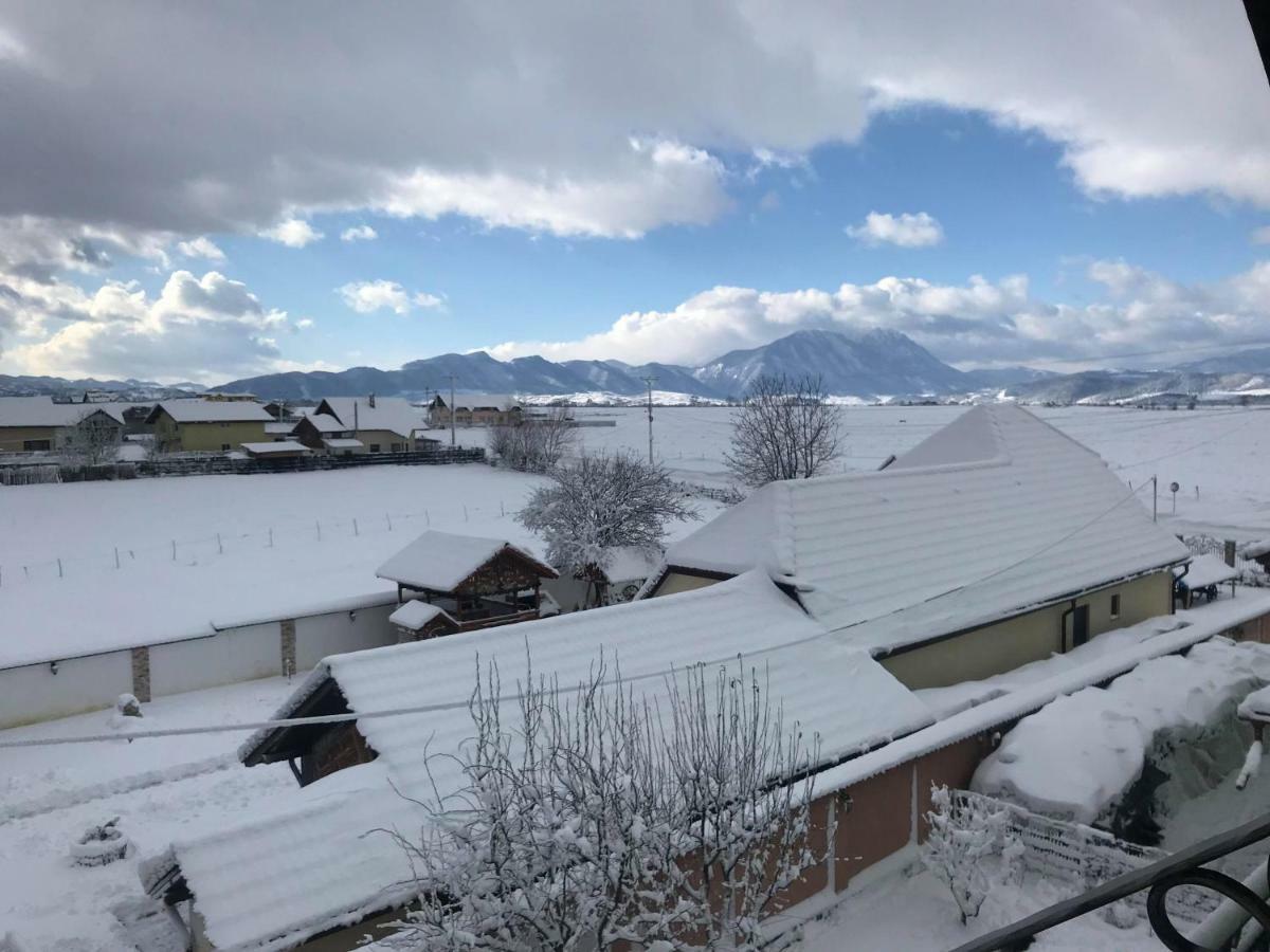 Vilman House Hotell Rîşnov Eksteriør bilde